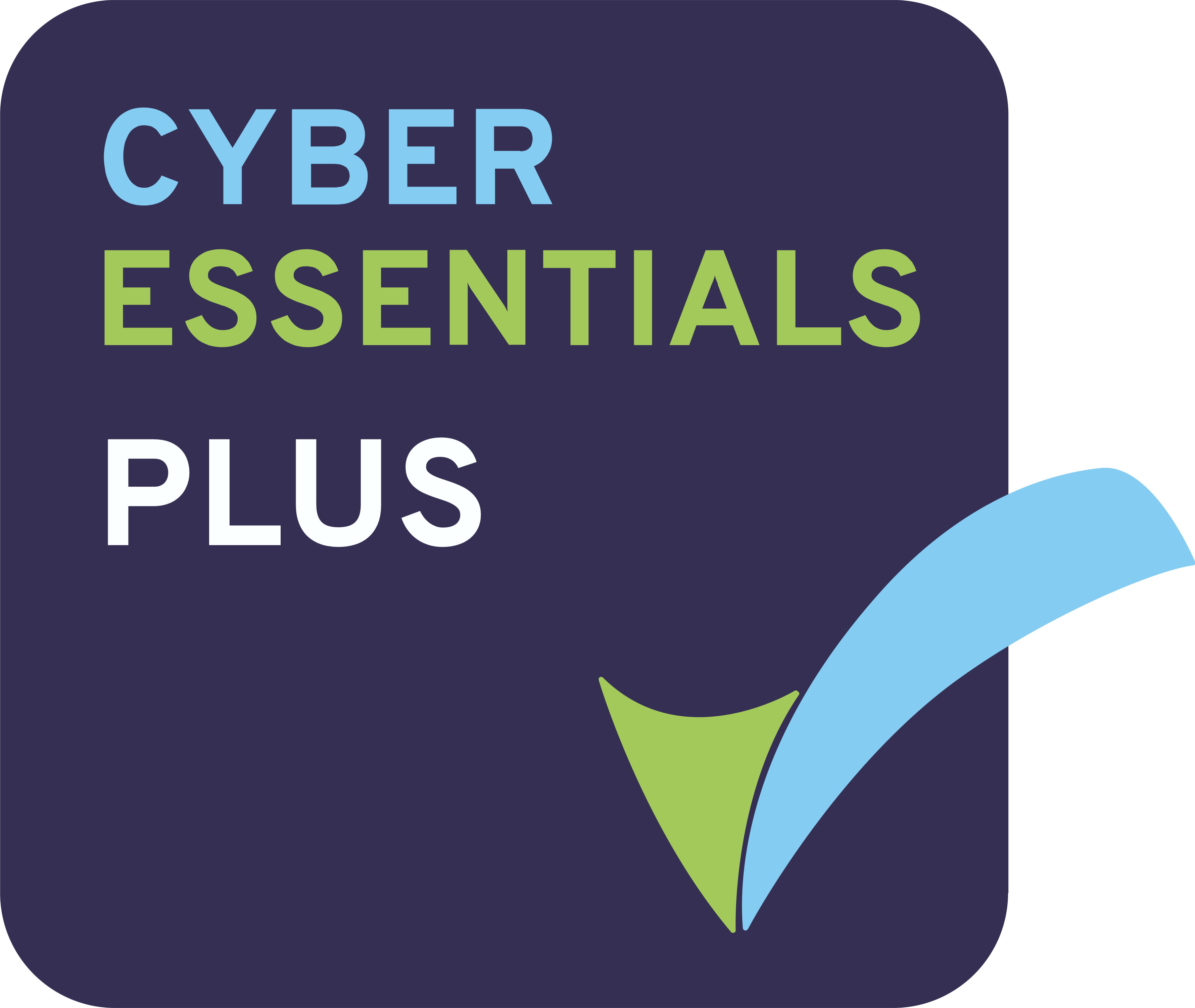 Cyber Essentials Plus